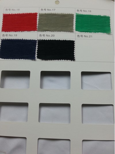 GZ- LEEN  L30%  天丝45% N25% L58145 後面照